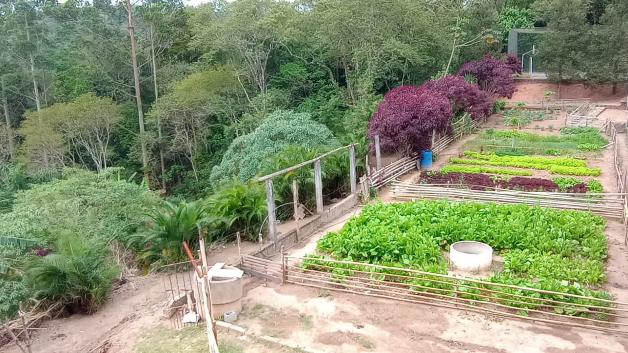 Horta orgânica da unidade